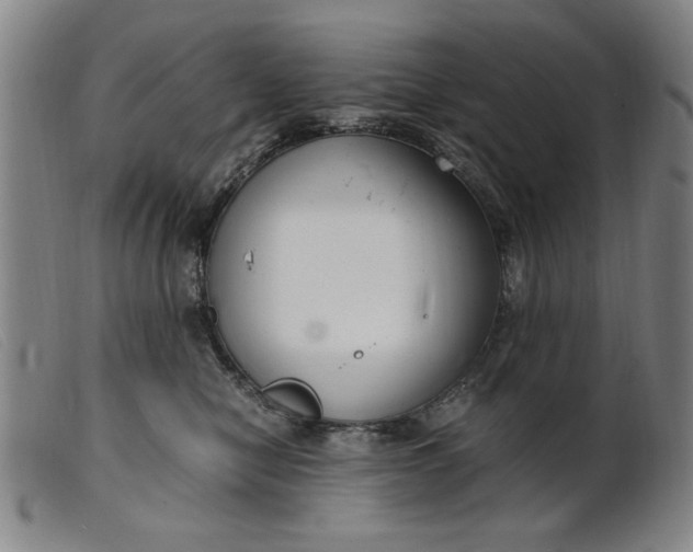 X0000099400470200805221900