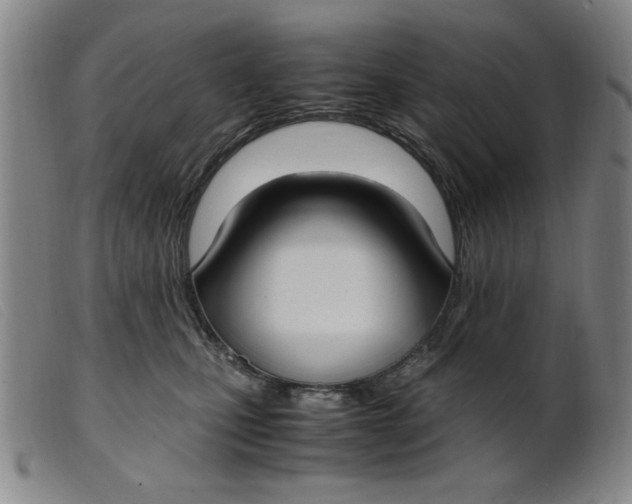 X0000099400471200805221900