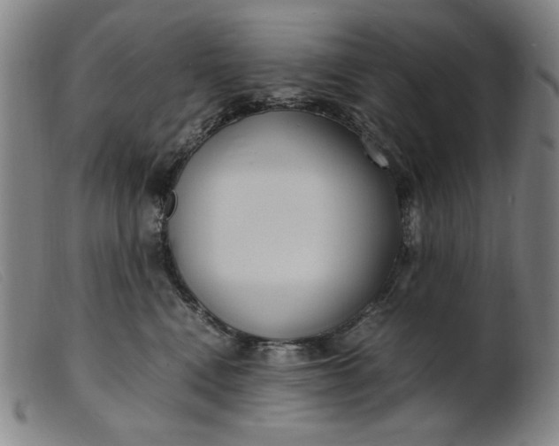 X0000099400472200805221900