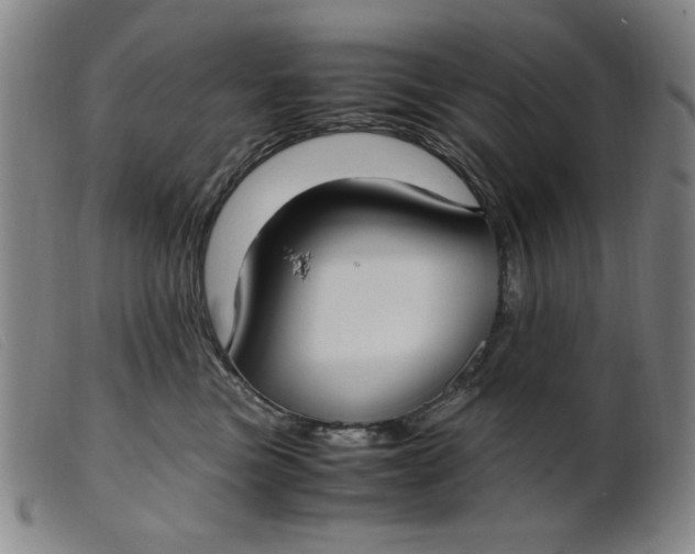 X0000099400473200805221900