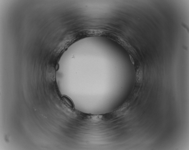 X0000099400474200805221900