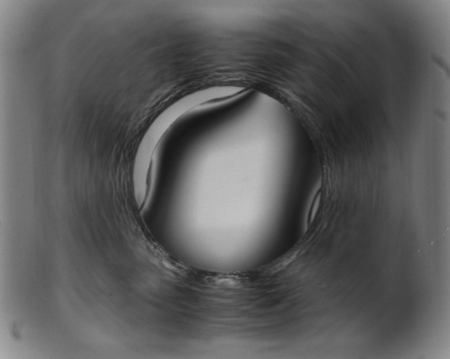 X0000099400475200805221900