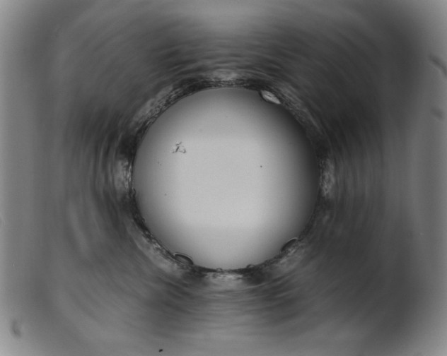 X0000099400476200805221900