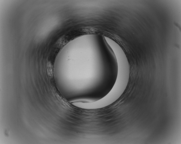 X0000099400477200805221900