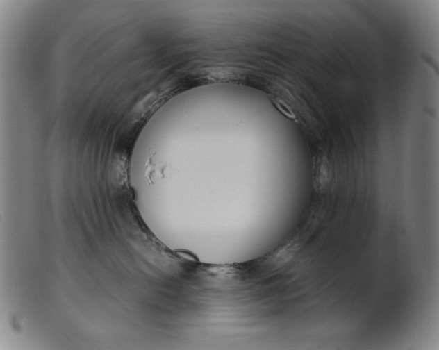 X0000099400478200805221900