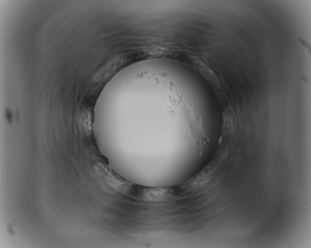 X0000099400479200805221900