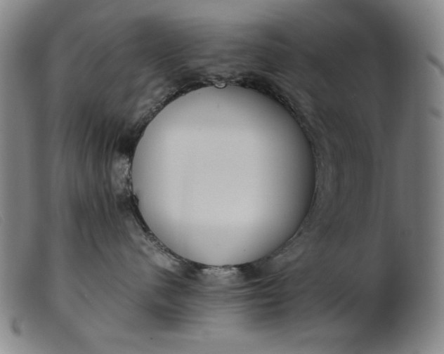 X0000099400480200805221900