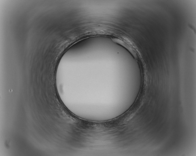 X0000099400481200805221859