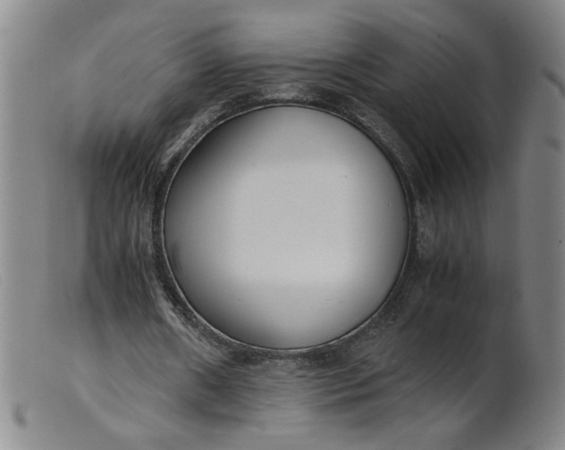 X0000099400482200805221859