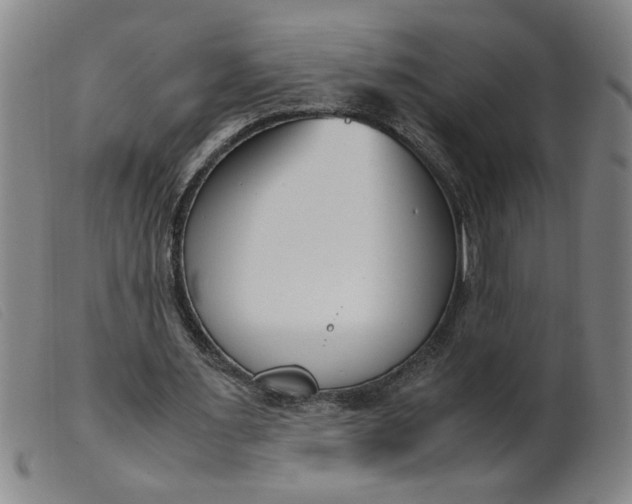 X0000099400483200805221859