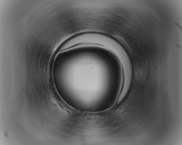 X0000099400484200805221859