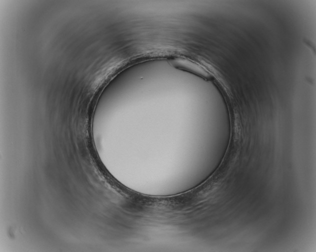 X0000099400485200805221859