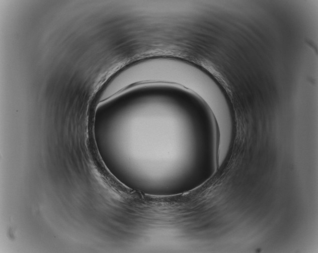 X0000099400486200805221859