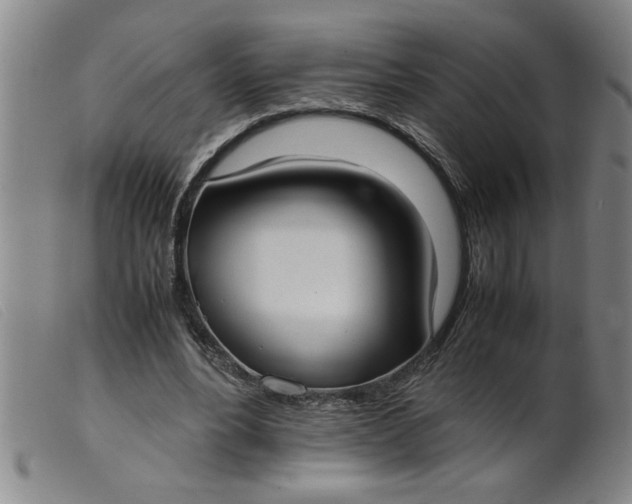 X0000099400488200805221859