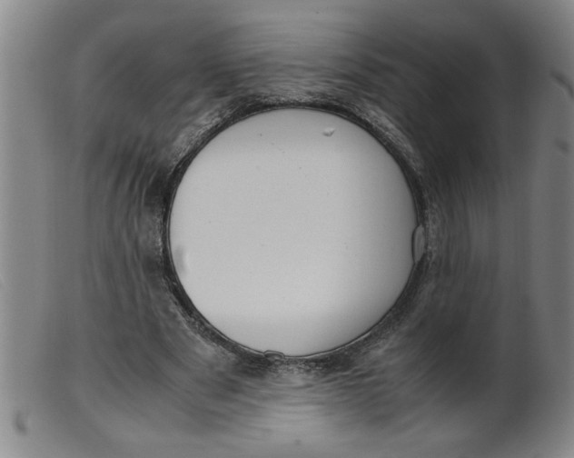 X0000099400489200805221859