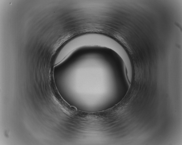 X0000099400490200805221859