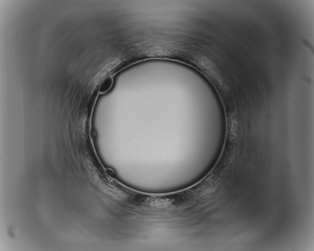 X0000099400491200805221859