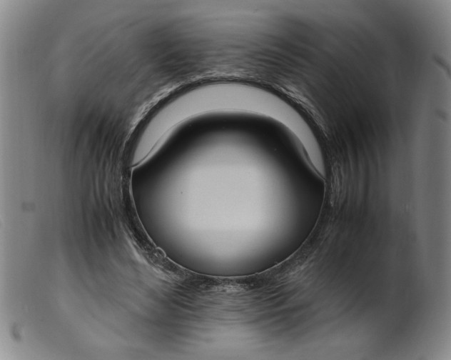 X0000099400492200805221859