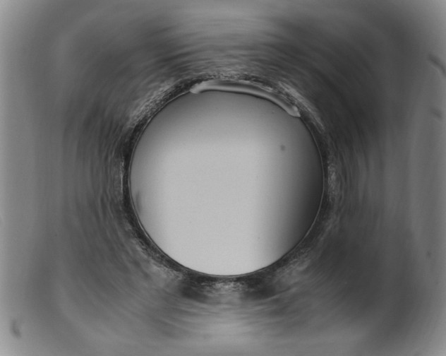 X0000099400493200805221859