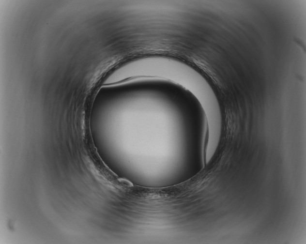 X0000099400494200805221859