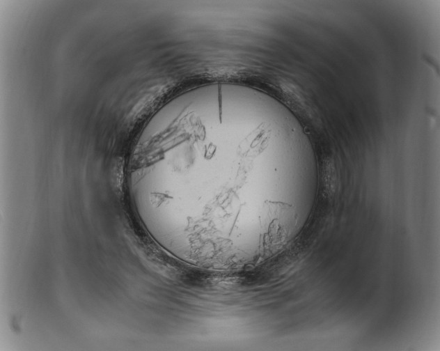 X0000099400495200805221859