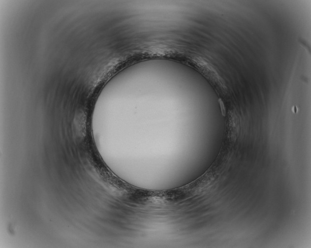 X0000099400496200805221859