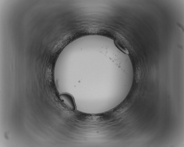 X0000099400497200805221859