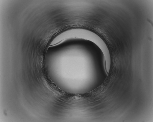 X0000099400498200805221859