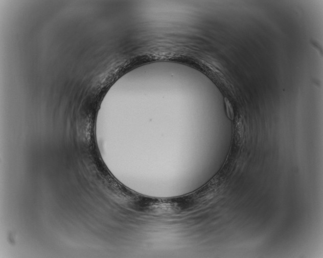 X0000099400499200805221859