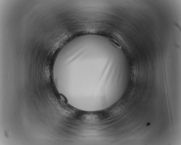 X0000099400500200805221859