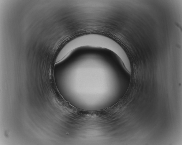 X0000099400502200805221859