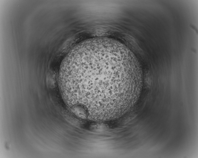 X0000099400503200805221859