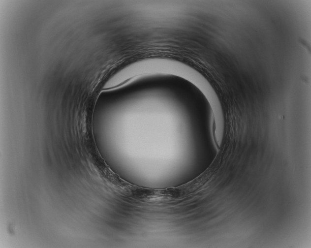 X0000099400504200805221859