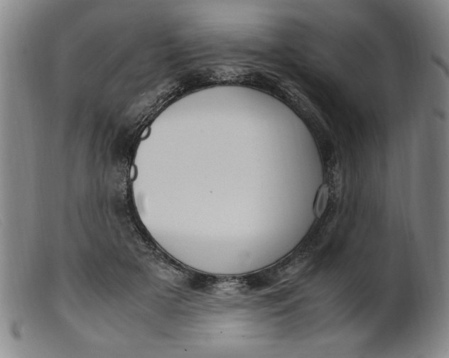 X0000099400505200805221859