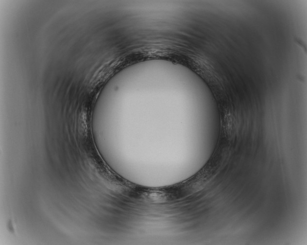 X0000099400506200805221859