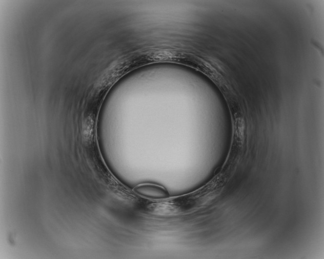 X0000099400507200805221859