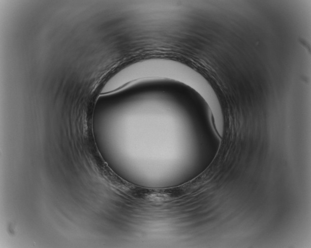 X0000099400508200805221859