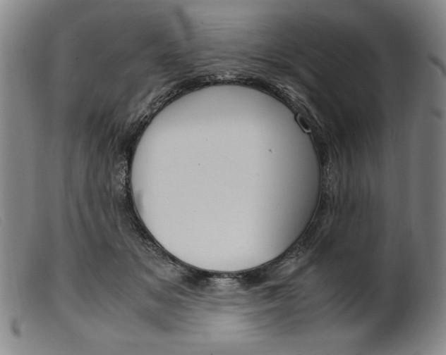 X0000099400509200805221859