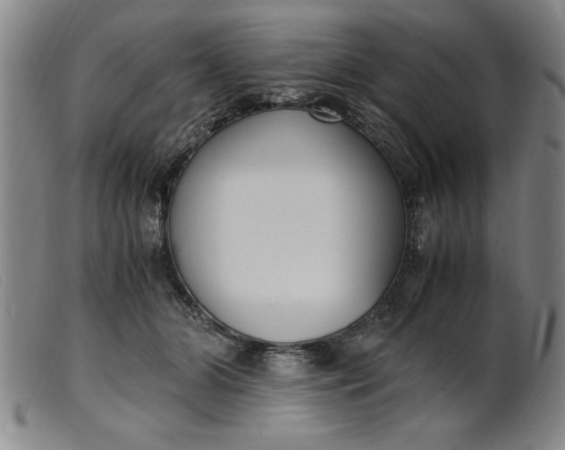 X0000099400510200805221859