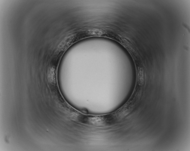 X0000099400511200805221859