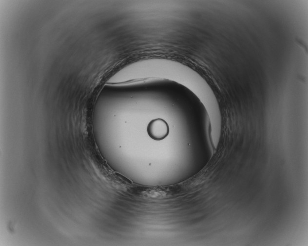 X0000099400512200805221859