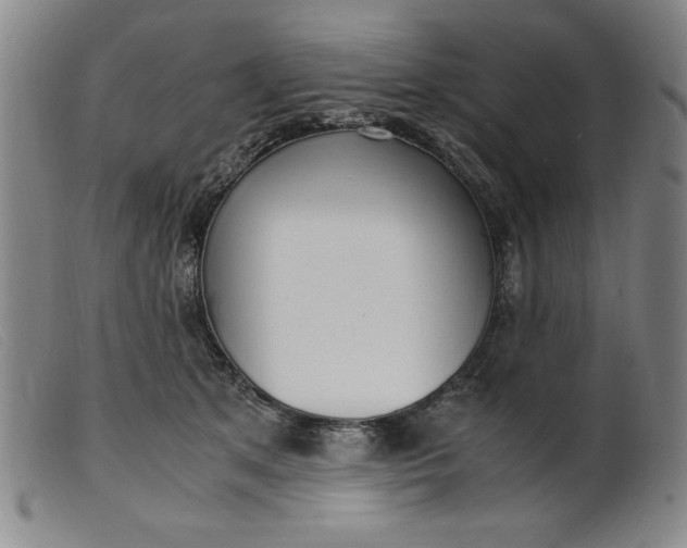 X0000099400513200805221859