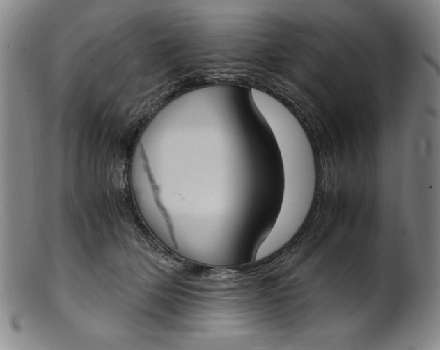 X0000099400514200805221859