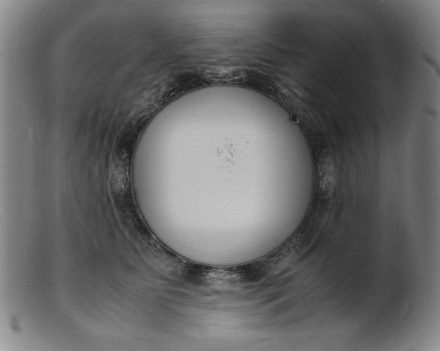 X0000099400515200805221859