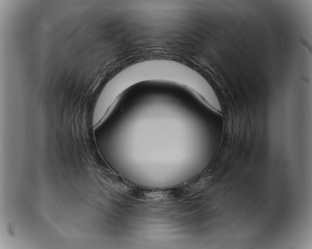 X0000099400516200805221859