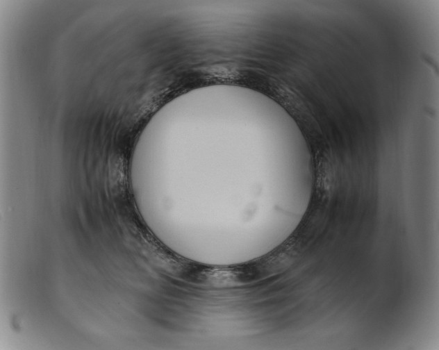 X0000099400518200805221859