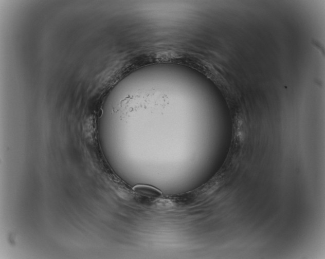 X0000099400519200805221859