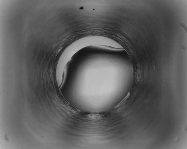 X0000099400520200805221859