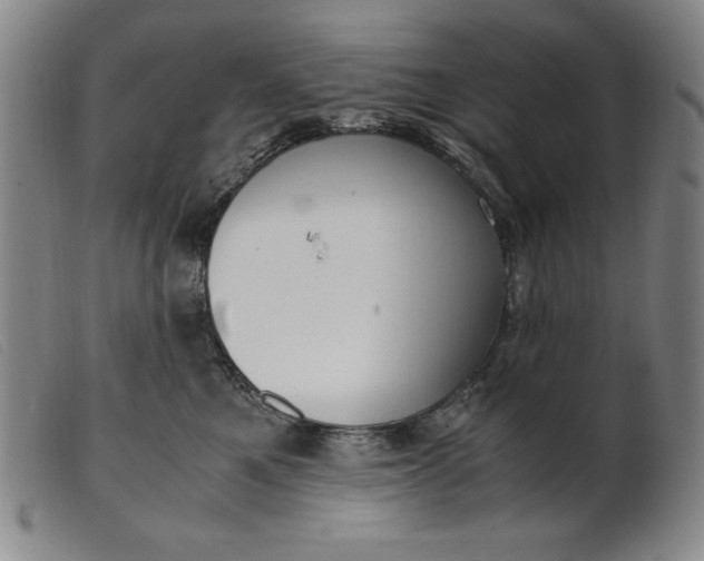 X0000099400521200805221859