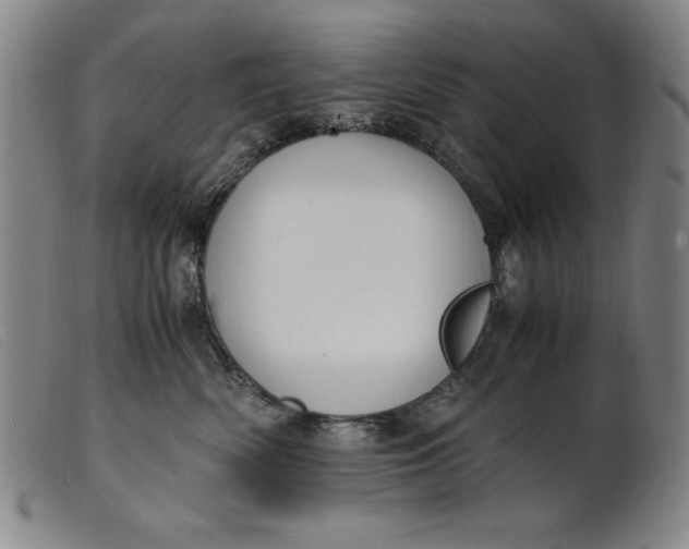 X0000099400522200805221859